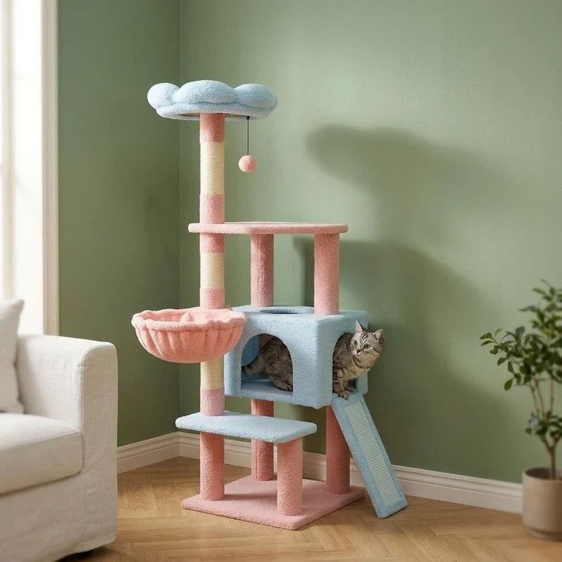 Arbre à Chat fleur
