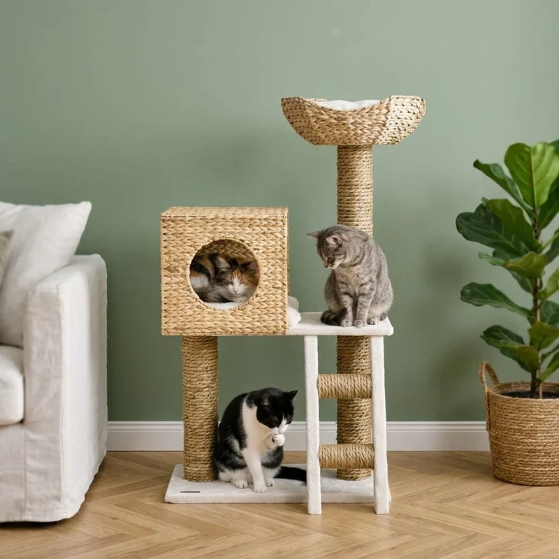 Arbre à Chat Design