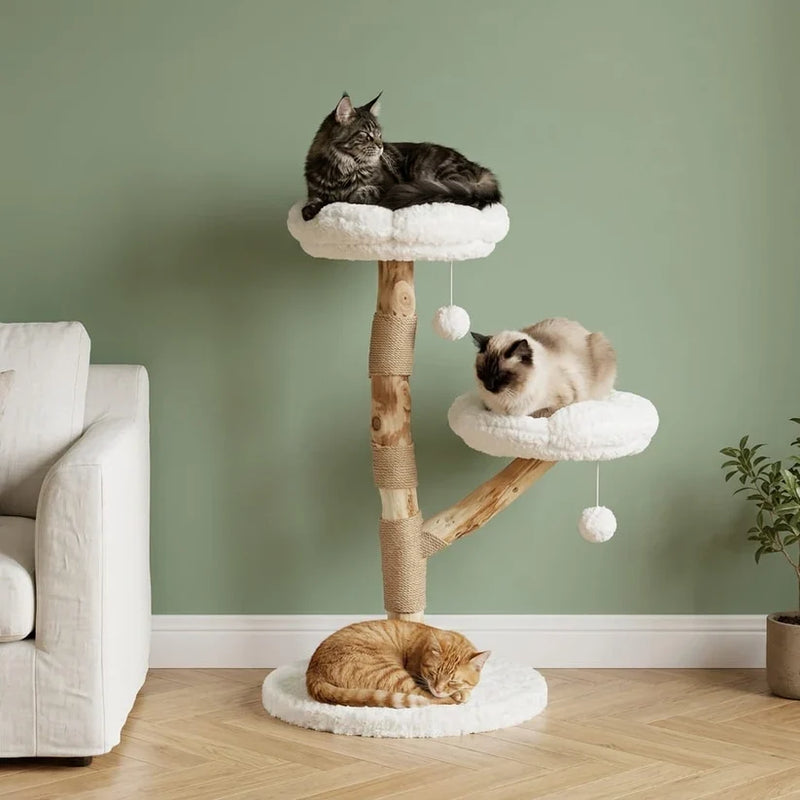 Arbre à Chat Bois Flotté