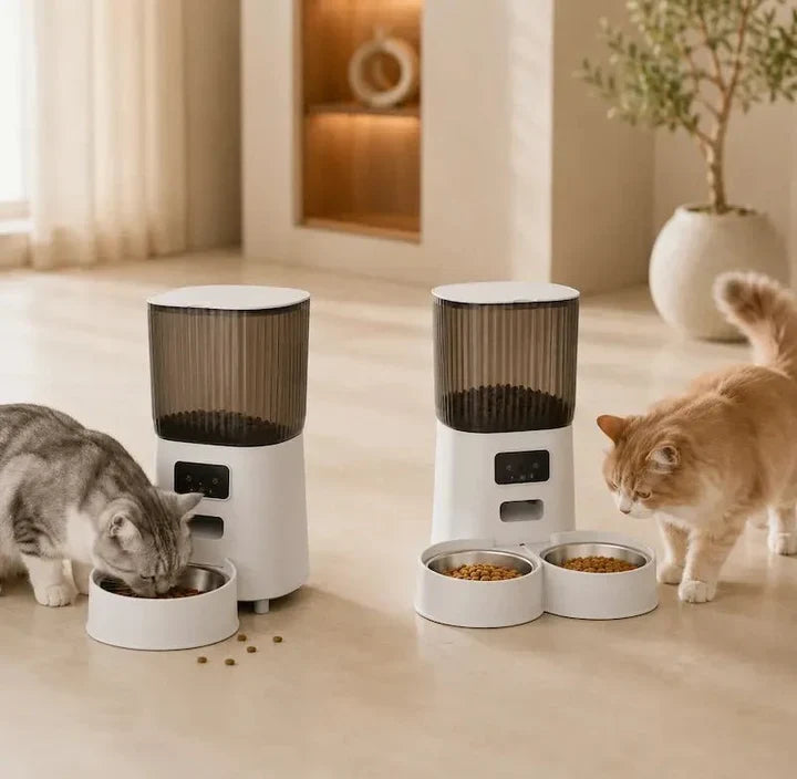 Distributeur de Croquette pour Chat