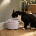 Fontaine à eau chat céramique silencieuse | Otou