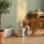 Fontaine chat inox robinet | Tatsou