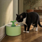 Fontaine chat céramique | Suitou