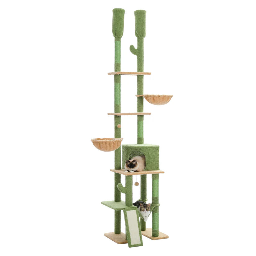 Arbre à Chat Vert Cactus avec Condo et Hamac | Arbre à Miaou Cactélia