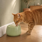 Fontaine à eau pour chat ultra silencieuse céramique | Shimia
