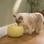 Fontaine pour chat billes céramique | Ryou