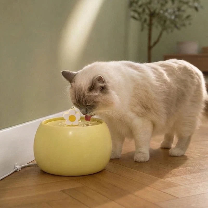 Fontaine pour chat billes céramique | Ryou