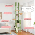 Arbre à Chat Vert Cactus avec Condo et Hamac | Arbre à Miaou Cactélia