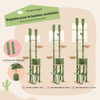 Arbre à Chat Vert Cactus avec Condo et Hamac | Arbre à Miaou Cactélia