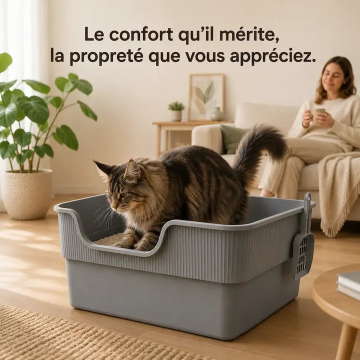 Bac à litière pour grand chat  | FéliXXL