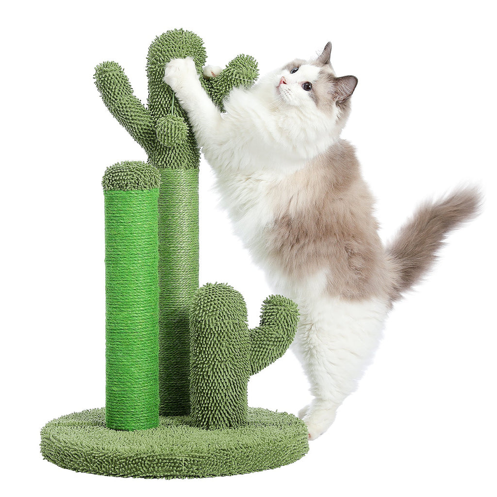 Cactus-Griffoir pour chat | Arbre à Miaou Cactis