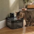 Fontaine à eau pour chat | Takia