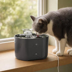 Fontaine pour chat silencieuse | Tsuyuo