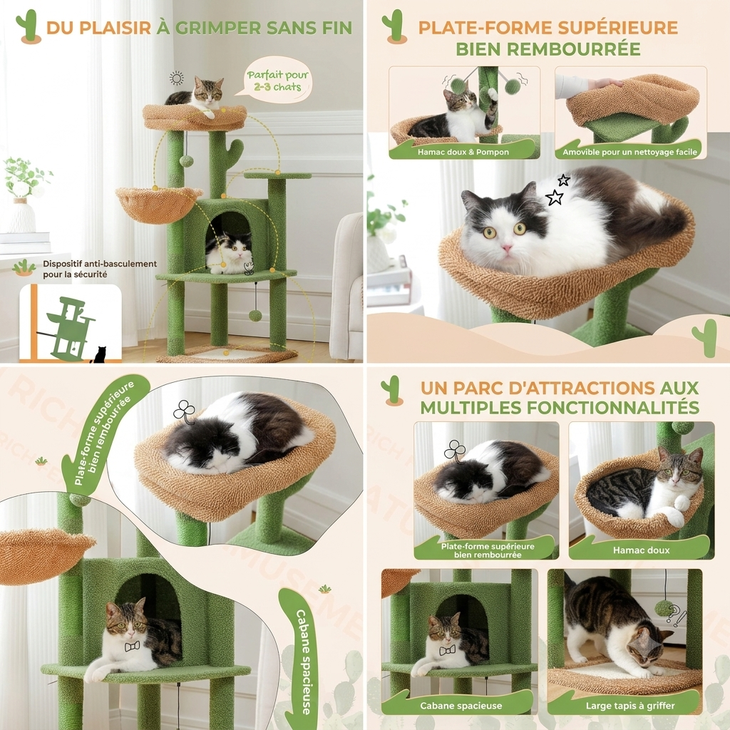 Arbre à chat cactus | Arbre à Miaou cactousi
