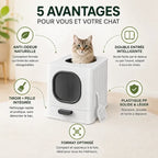 Litière chat anti odeur | Odor