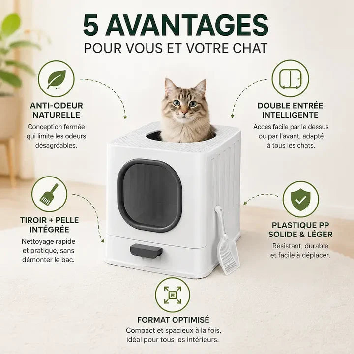 Litière chat anti odeur | Odor