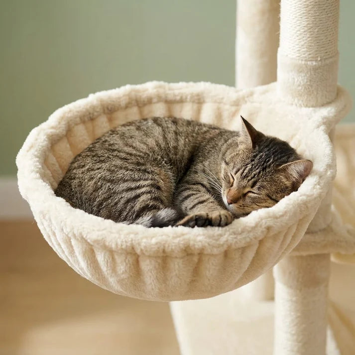 Arbre à chat xxl pour maine coon | Raiou