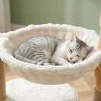 Arbre à chat 2 griffoirs et bois flotté | Kiseno