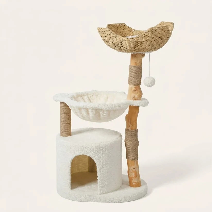 Arbre à chat 2 griffoirs et bois flotté | Kiseno