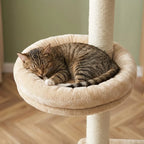 Arbre à chat à fixer au plafond | Kanou