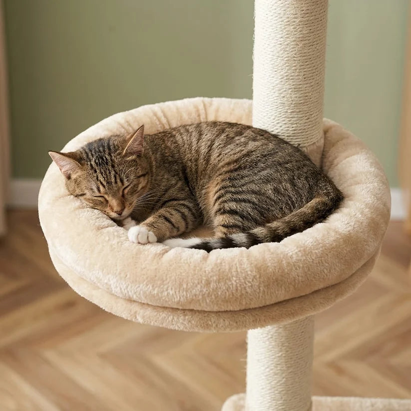 Arbre à chat à fixer au plafond | Kanou