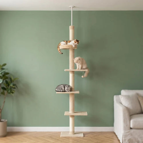Arbre à chat à fixer au plafond | Kanou