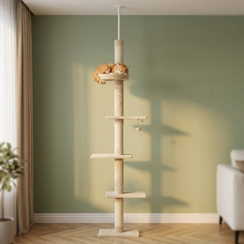 Arbre à chat à fixer au plafond | Kanou