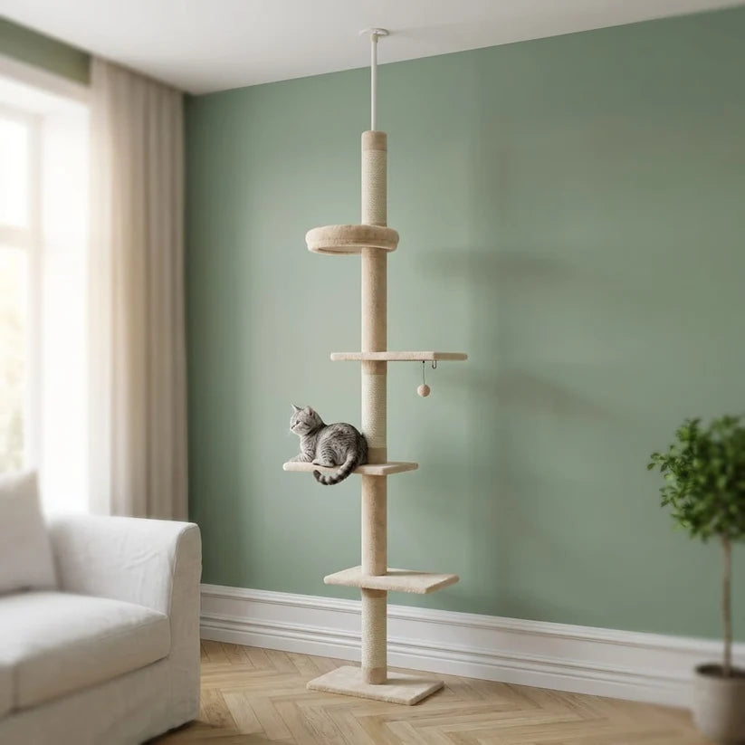Arbre à chat à fixer au plafond | Kanou