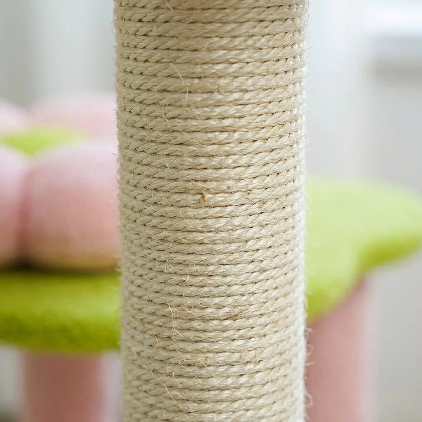 Arbre à chat à fleur | Shune