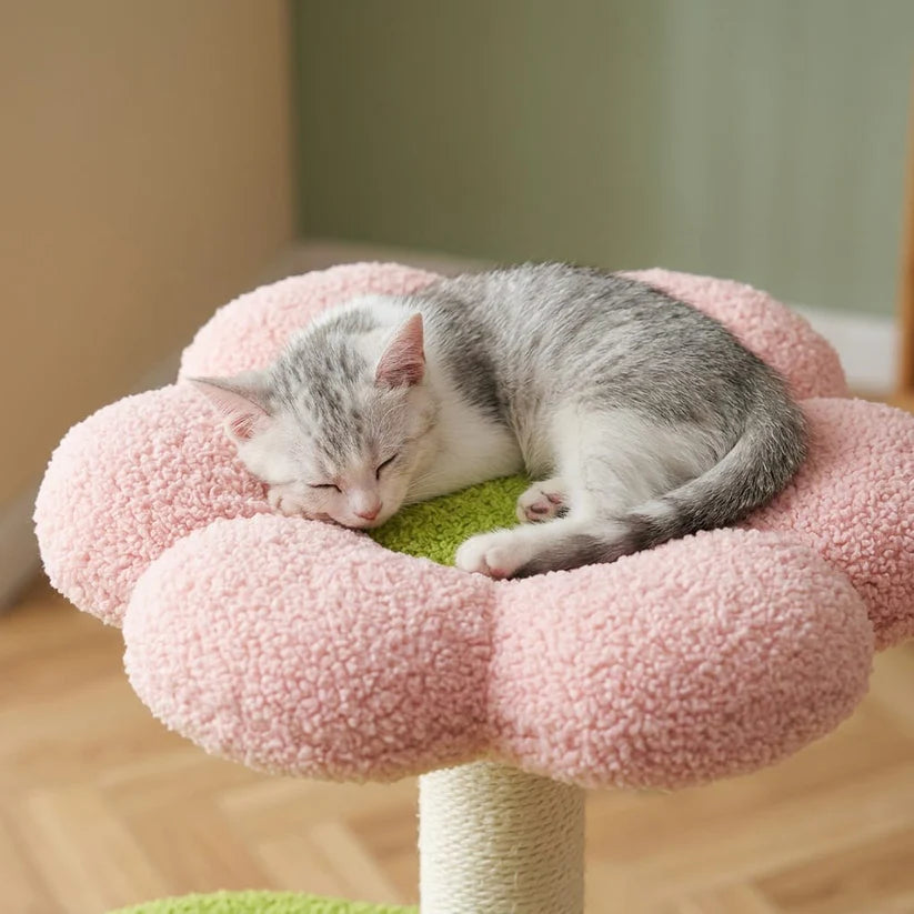 Arbre à chat à fleur | Shune
