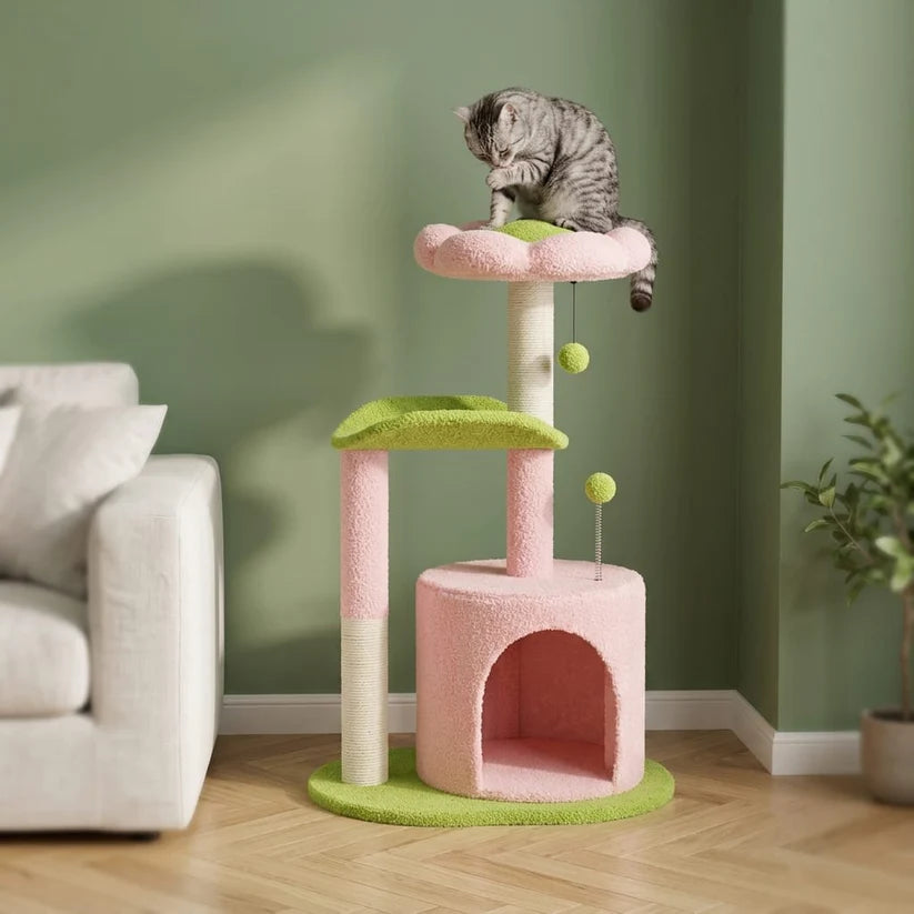 Arbre à chat à fleur | Shune