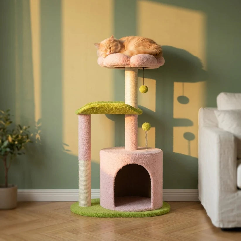 Arbre à chat à fleur | Shune