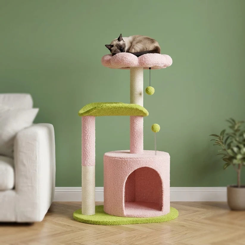 Arbre à chat à fleur | Shune