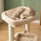 Arbre à chat à petit prix | Tobia