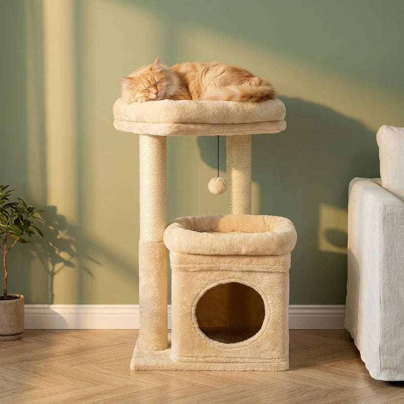 Arbre à chat à petit prix | Tobia