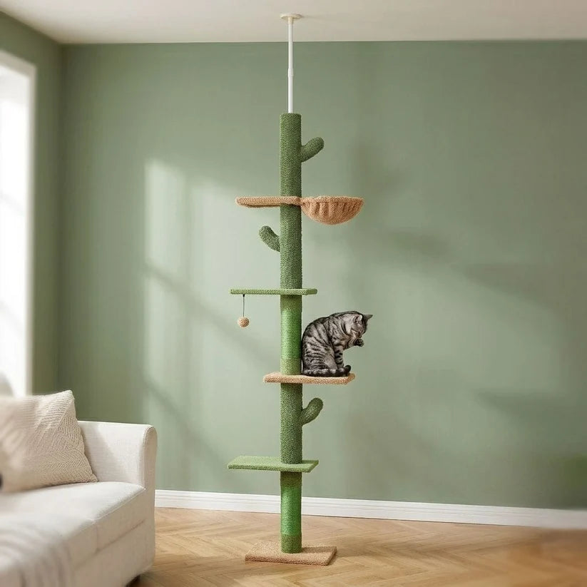 Arbre à chat au plafond | Tenkuo
