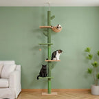 Arbre à chat au plafond | Tenkuo