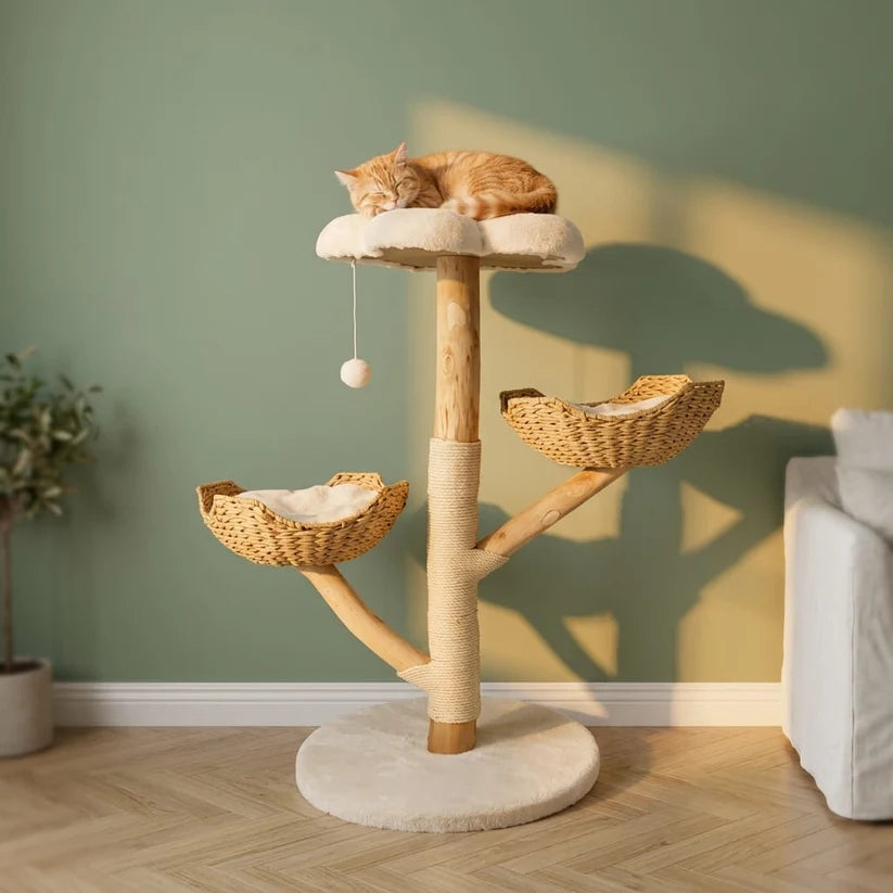 Arbre à chat avec bois flotté | Umio