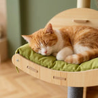 Arbre à chat avec caisse en bois | Setou
