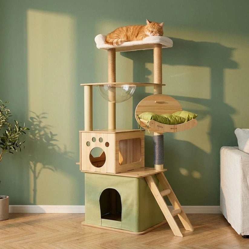 Arbre à chat avec caisse en bois | Setou