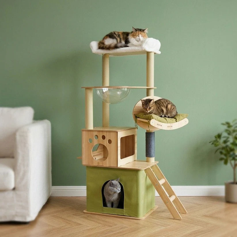 Arbre à chat avec caisse en bois | Setou
