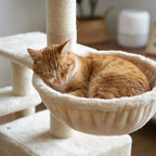 Arbre à chat forme cactus | Togeo