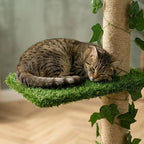 Arbre à chat barre à fixation plafond | Yokoua