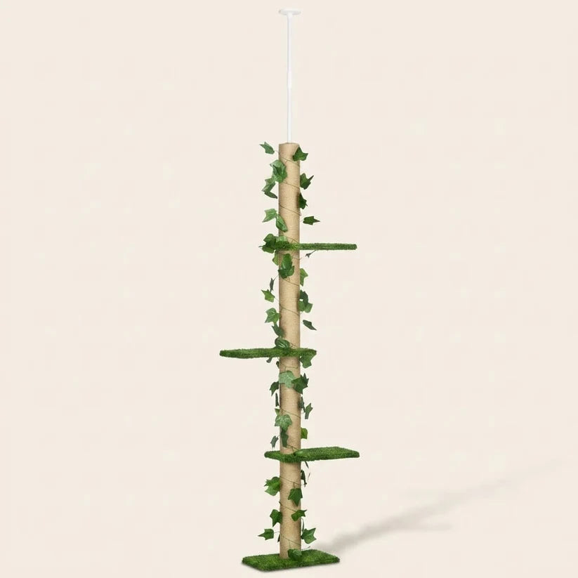 Arbre à chat barre à fixation plafond | Yokoua