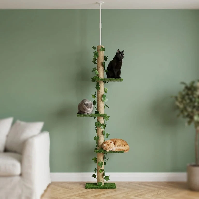Arbre à chat barre à fixation plafond | Yokoua