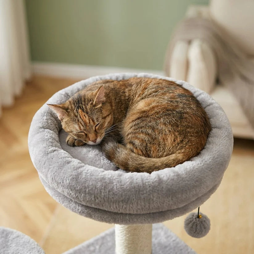 Arbre à chat griffoir design | Bijina
