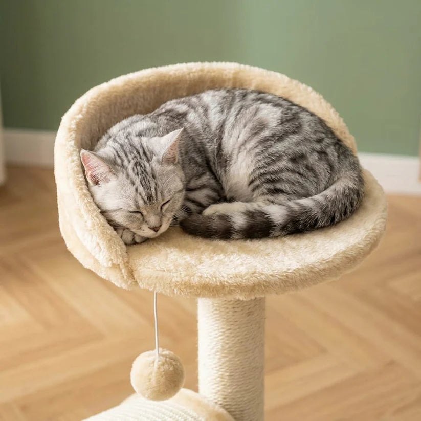 Arbre à chat beige 1 pied | Ichia