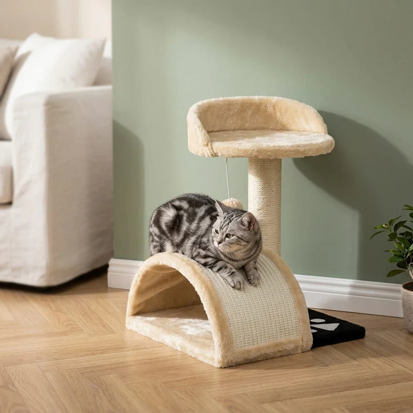 Arbre à chat beige 1 pied | Ichia