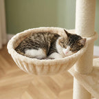 Arbre à chat beige 170 cm | Hirou