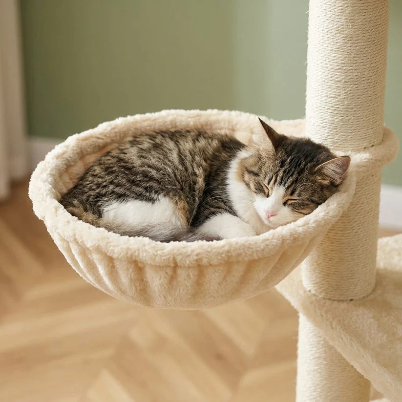 Arbre à chat beige 170 cm | Hirou